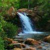 🌿 Customized Natural Wallpaper | Per Sq. Ft. | Nature-Inspired Wall Art - Image 3