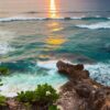 🌿 Customized Natural Wallpaper | Per Sq. Ft. | Nature-Inspired Wall Art - Image 5