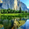 🌿 Customized Natural Wallpaper | Per Sq. Ft. | Nature-Inspired Wall Art - Image 7