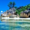 🌿 Customized Natural Wallpaper | Per Sq. Ft. | Nature-Inspired Wall Art - Image 8