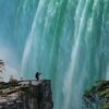 🌿 Customized Natural Wallpaper | Per Sq. Ft. | Nature-Inspired Wall Art - Image 10