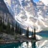 🌿 Customized Natural Wallpaper | Per Sq. Ft. | Nature-Inspired Wall Art - Image 13